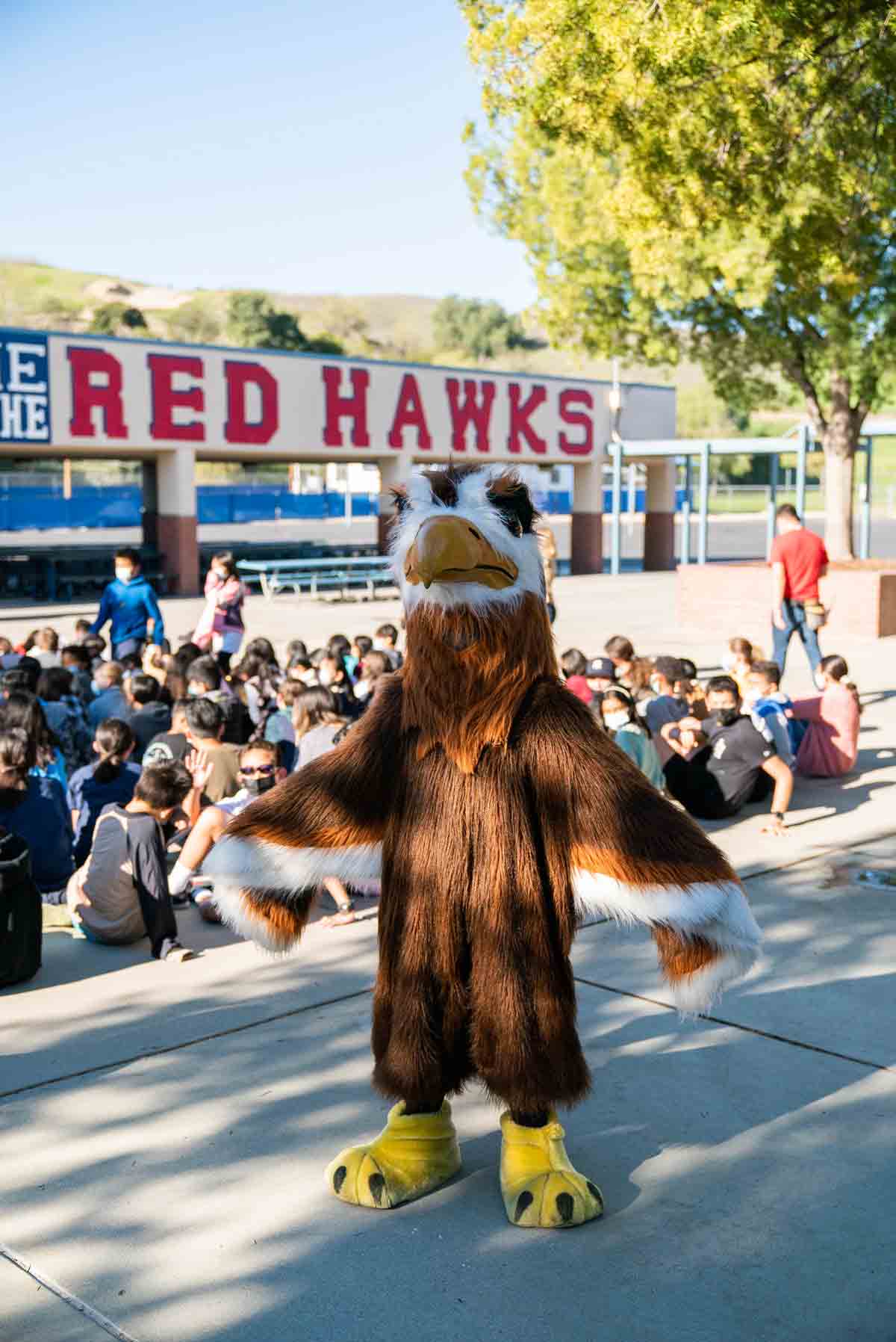 Hidden Trails Elementary School Mascot The Red Hawk