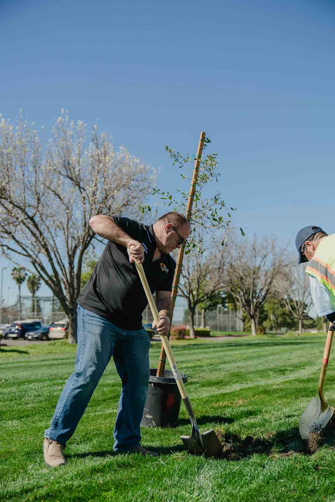 Supervisor Hagman digging a hole, so he can plant a tree on Arbor Day.