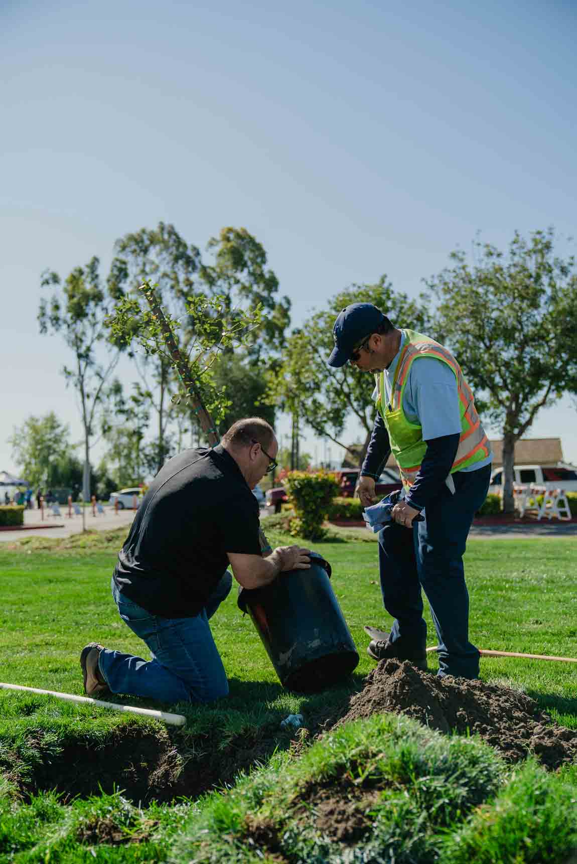 Supervisor Hagman removing a tree from a bucket.