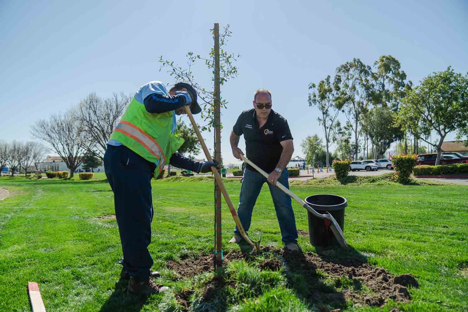 Supervisor Hagman and a male adding the top layer of dirt to the freshly planted tree.