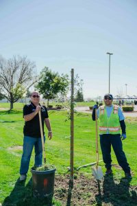 Supervisor Hagman and a male standing in front of a freshly planted tree.