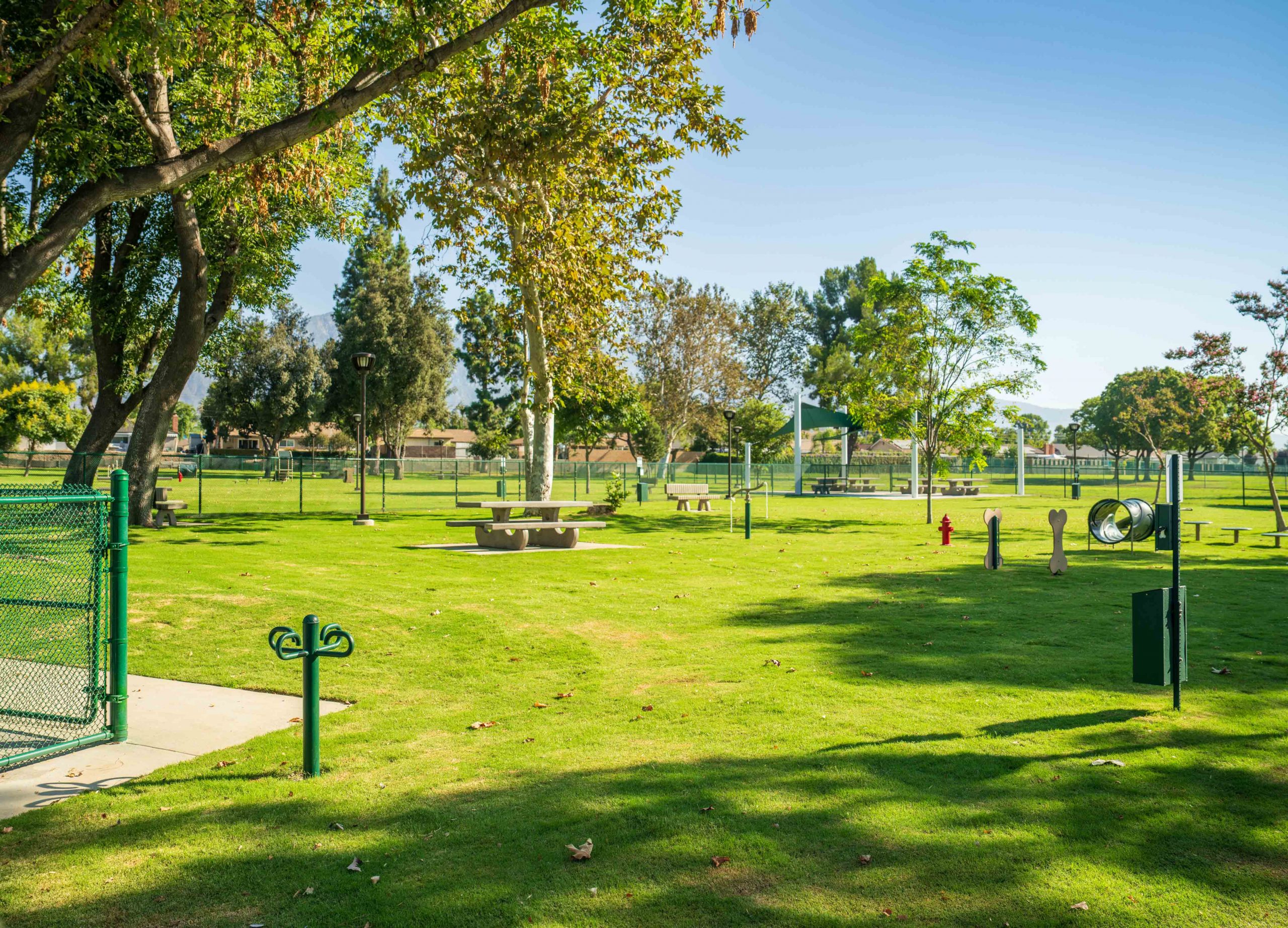 Wide shot of Baldy View Dog Park in the City of Upland.