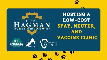 Graphic promoting a low-cost spay, neuter, and vaccine clinic hosted by Supervisor Curt Hagman with The PAW Mission, City of Montclair, and San Bernardino County.